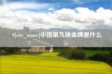 平湖中国第九块金牌是什么
