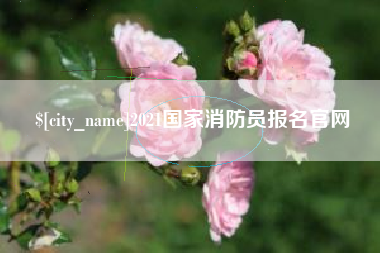 平湖2021国家消防员报名官网