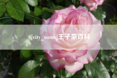 平湖王子豪百科