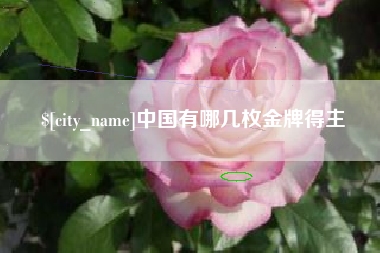 平湖中国有哪几枚金牌得主