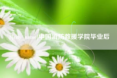 平湖中国消防救援学院毕业后