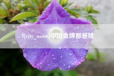 平湖中国金牌都是啥
