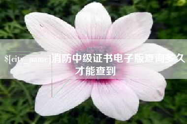 平湖消防中级证书电子版查询多久才能查到