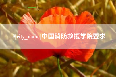 平湖中国消防救援学院要求