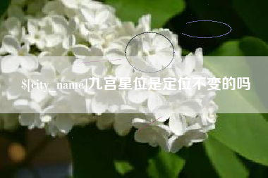 平湖九宫星位是定位不变的吗
