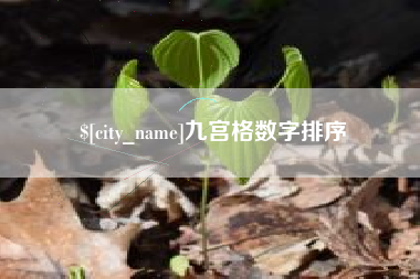 平湖九宫格数字排序