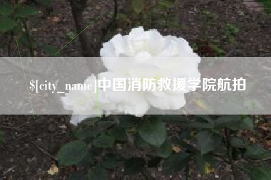 平湖中国消防救援学院航拍