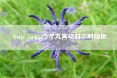 平湖今年九宫格的不利颜色