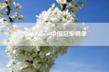平湖中国冠军榜单
