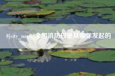 平湖全国消防日是从哪年发起的