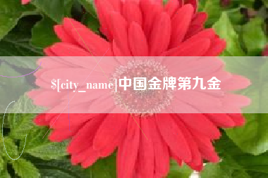 平湖中国金牌第九金