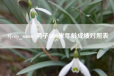 平湖男子5000米年龄成绩对照表