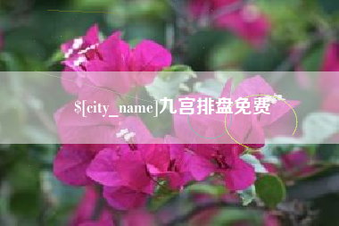 平湖九宫排盘免费