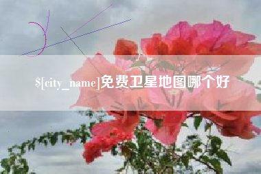 平湖免费卫星地图哪个好