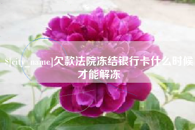 平湖欠款法院冻结银行卡什么时候才能解冻
