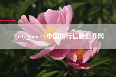 平湖1.中国执行信息公开网