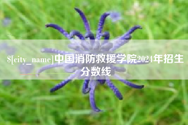 平湖中国消防救援学院2024年招生分数线