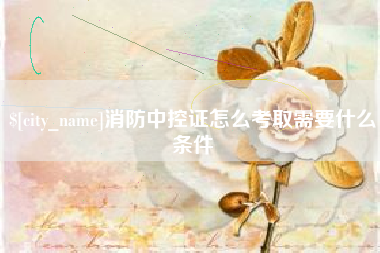平湖消防中控证怎么考取需要什么条件