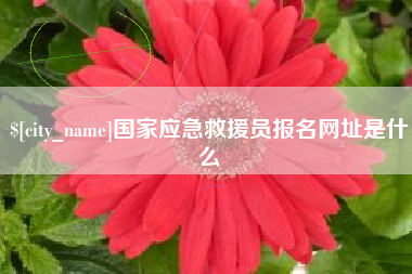 平湖国家应急救援员报名网址是什么