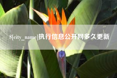 平湖执行信息公开网多久更新