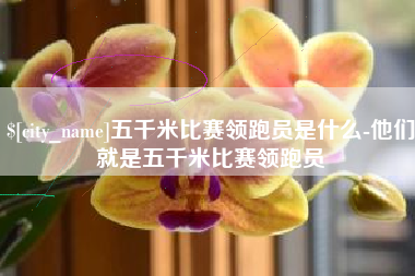 平湖五千米比赛领跑员是什么-他们就是五千米比赛领跑员