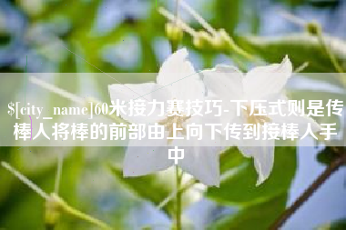 平湖60米接力赛技巧-下压式则是传棒人将棒的前部由上向下传到接棒人手中