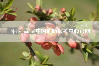 平湖中国消防报考中心官网