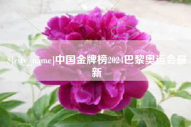 平湖中国金牌榜2024巴黎奥运会最新