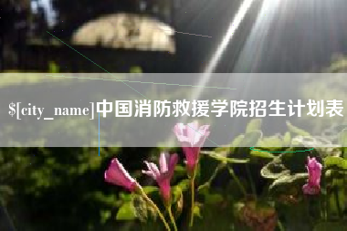 平湖中国消防救援学院招生计划表