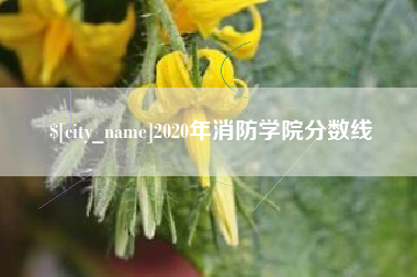 平湖2020年消防学院分数线
