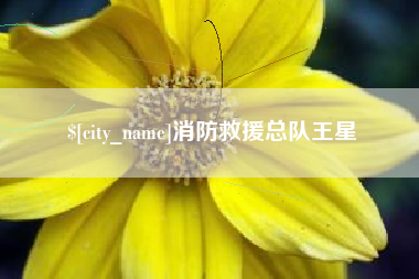 平湖消防救援总队王星