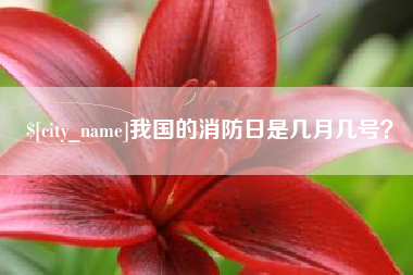 平湖我国的消防日是几月几号？