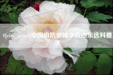平湖中国消防救援学院山东选科要求