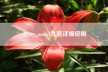 平湖九宫详细说明