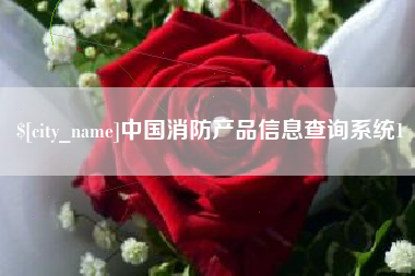 平湖中国消防产品信息查询系统1