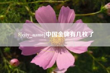 平湖中国金牌有几枚了