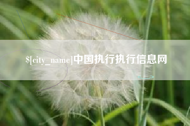 平湖中国执行执行信息网