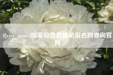 平湖国家应急救援员报名网查询官网