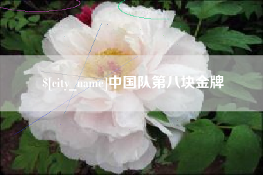 平湖中国队第八块金牌