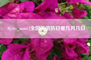 平湖全国的消防日是几月几日