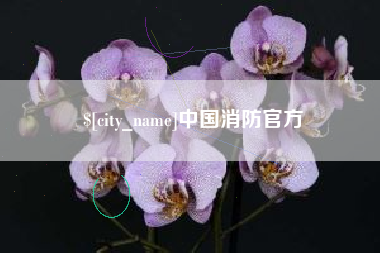 平湖中国消防官方