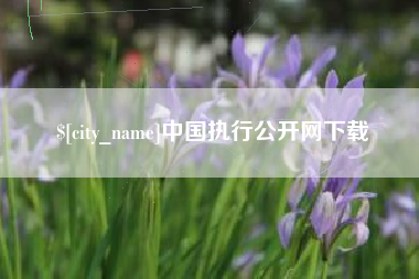 平湖中国执行公开网下载