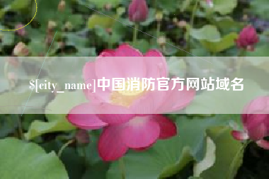 平湖中国消防官方网站域名