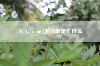 平湖王子豪是个什么