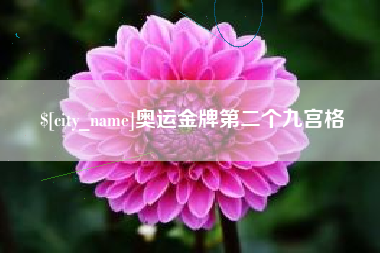 平湖奥运金牌第二个九宫格