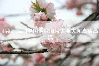 平湖中国金牌图片大全大图真实高清