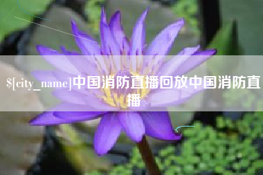 平湖中国消防直播回放中国消防直播