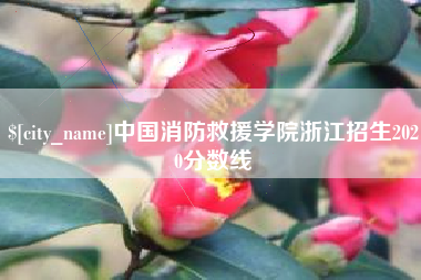 平湖中国消防救援学院浙江招生2020分数线