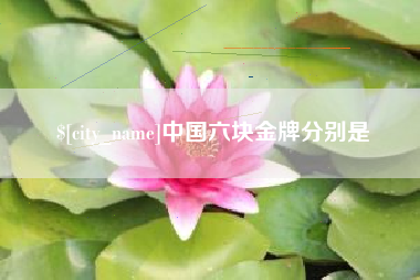 平湖中国六块金牌分别是