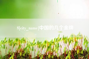 平湖中国的几个金牌